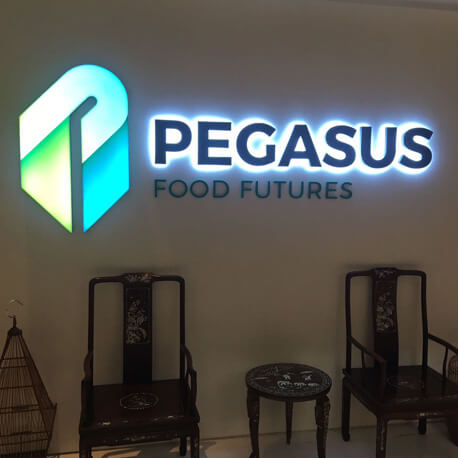 Pegasus Reception Signage - Amico Technology International